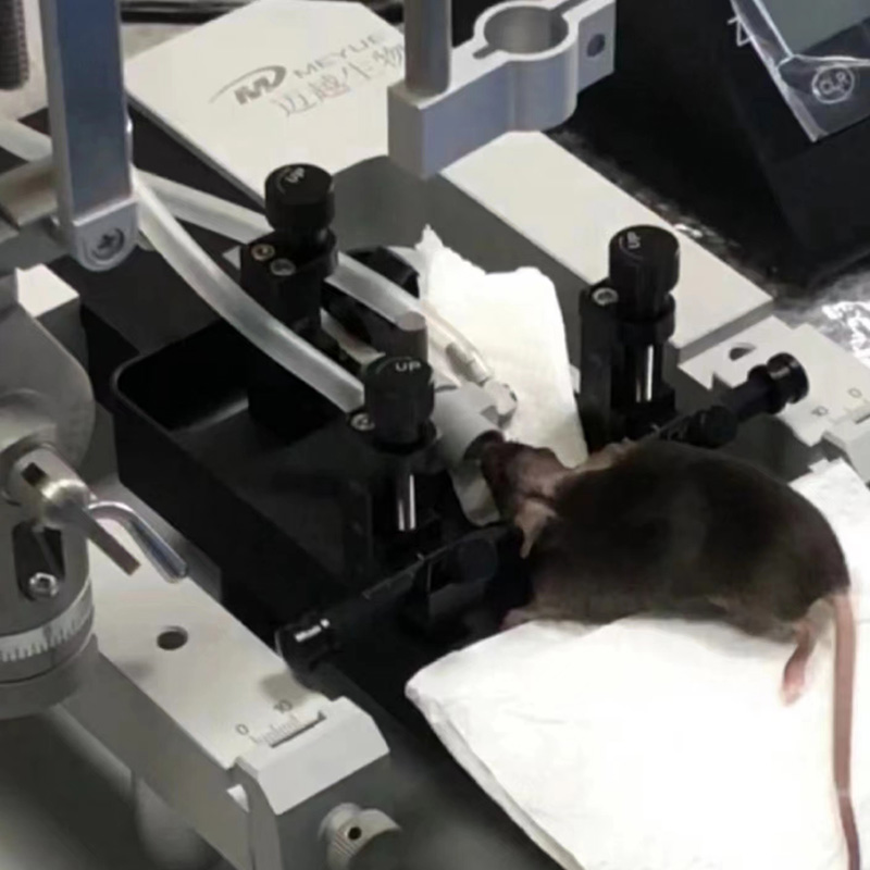 中南湘雅醫(yī)學院-桌面式小動物麻醉機